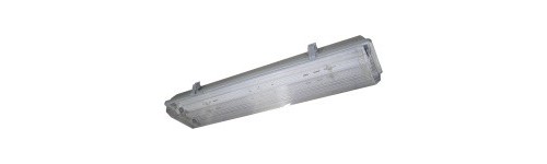 IP65